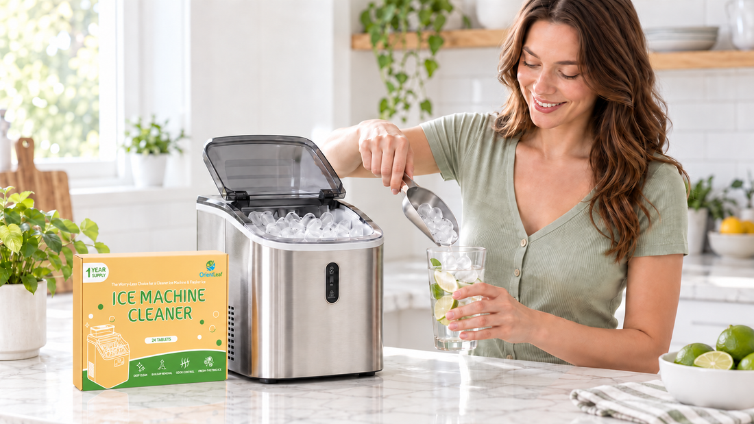 How to Use Your Ice Machine with Confidence: Everyday Care and Cleaning