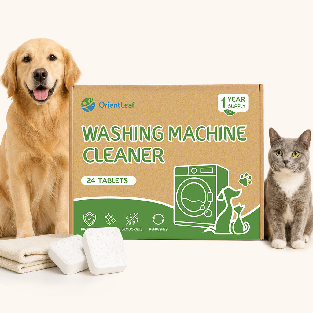 Washing Machine Cleaner