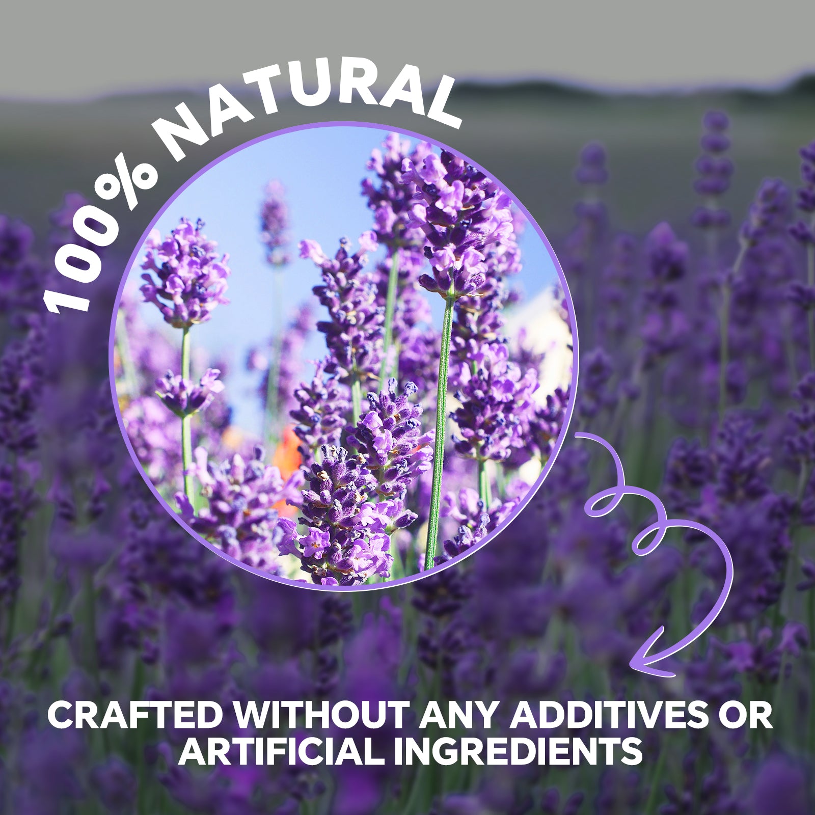 Lavender Essential Oil