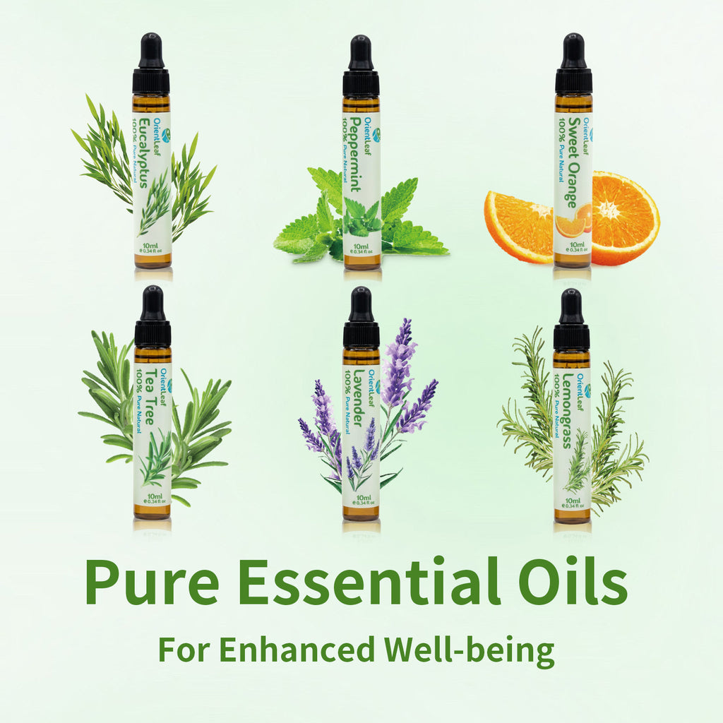 Essential Oils Set